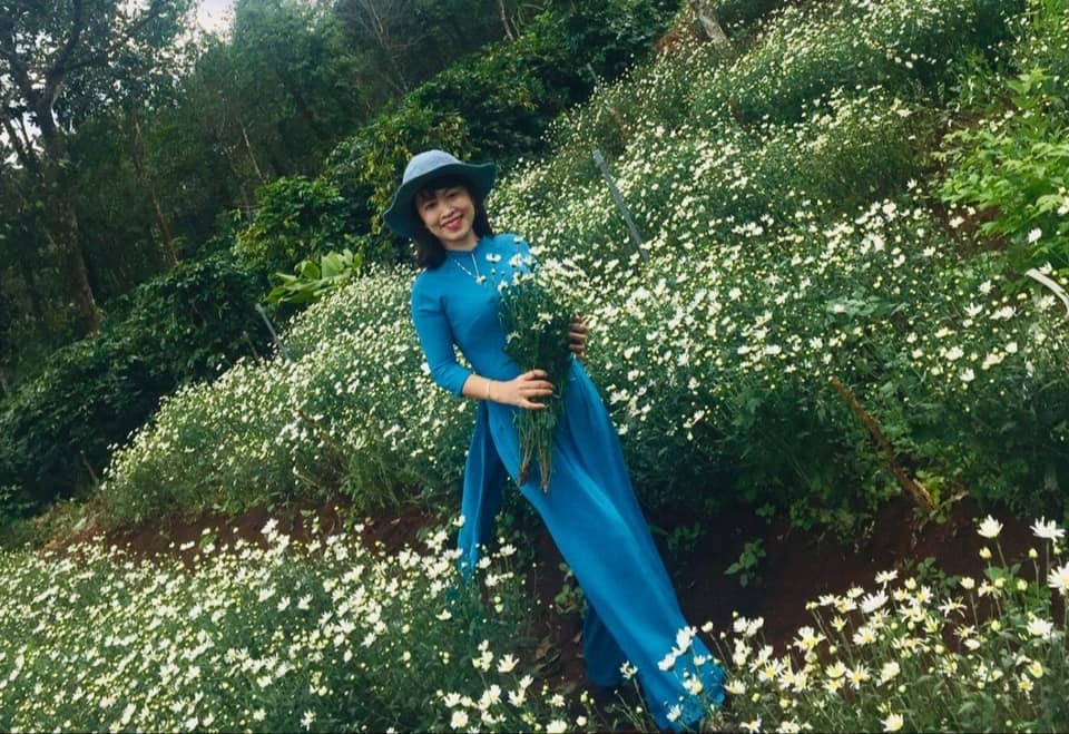 Địa điểm Check-in mới tại Quảng Trị: Vườn hoa Cúc Hoạ Mi cực đẹp